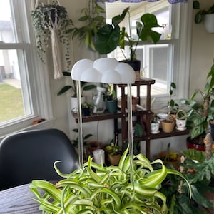 May include: A white cloud-shaped plant mister sits on a clear acrylic stand with two clear tubes. The mister is positioned over a green and white striped spider plant in a brown pot. The plant is on a dark brown table.