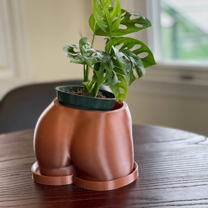 3D Printed Booty Pot/Planter