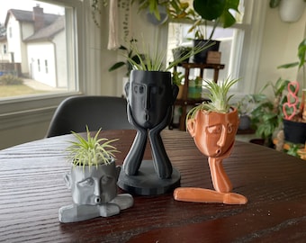 The Worried Dudes 3D Printed Air Plant Holders