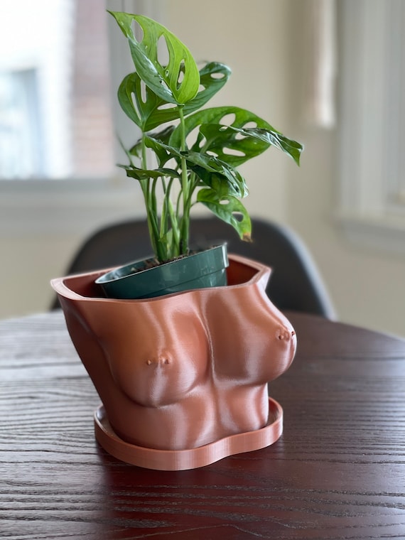 big plant in pot The Big and Bright Duo Houseplants - Large (tall) Grow Pots