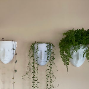 May include: Three white ceramic face planters with different plants growing out of them. The planters are hanging on a wall.