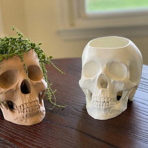 3D Printed Skull Pots/Planters