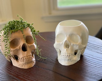 3D Printed Skull Pots/Planters