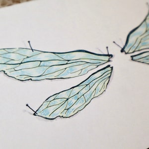 Transparency - A5 Print