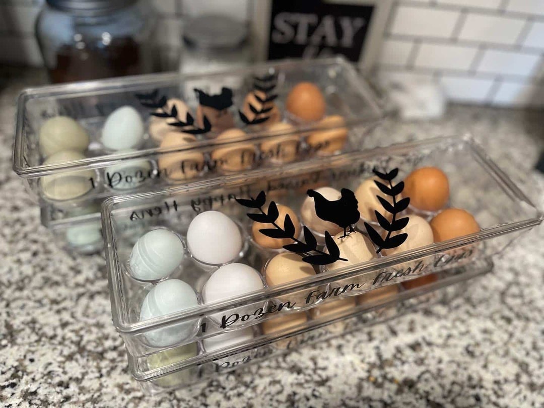 Reusable Egg Cartons 2pack Bpafree Food Organizer Refrigerator