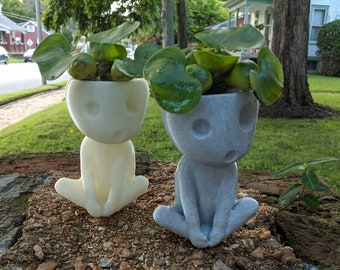 Kodama Succulent Plant Pot Planter  glow in the dark