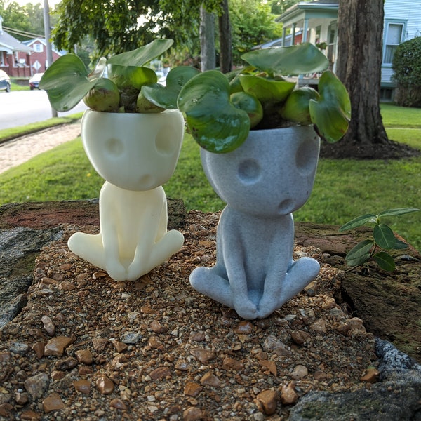 Maceta Kodama para suculentas que brilla en la oscuridad