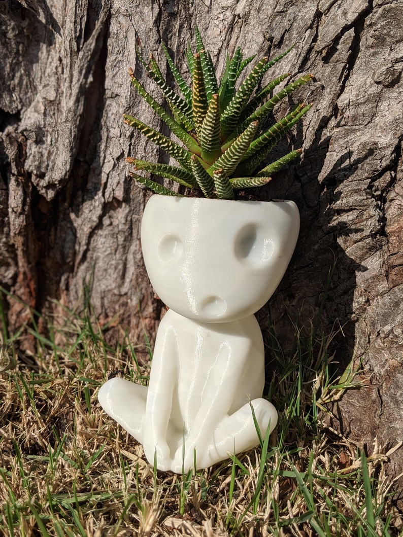 Kodama Succulent Plant Pot Planter glow in the dark image 2