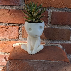 Kodama Succulent Plant Pot Planter glow in the dark image 6