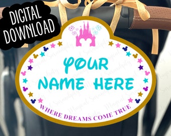 Disney Stroller Tag, {DIGITAL DOWNLOAD}, Disney Stroller Sign, Disney 50th, Disney Trip Gift, Customized, Personalized