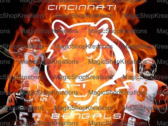 Cincinnati Bengals Tumbler Wrap