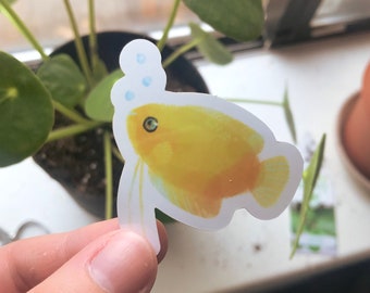 Honey Gourami | Fish Sticker | Glossy Vinyl Sticker