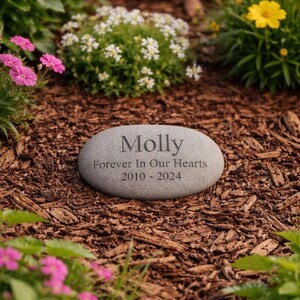 Personalised pet memorial stone in garden with flowers engraved Molly Forever In Our Hearts 2010 2024
