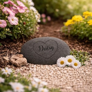 Dark grey oval pet memorial stone engraved with a heart and the name Daisy, displayed in a garden with flowers and gravel.