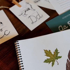 Cursive Penmanship Primer | Guide to Learning Cursive Handwriting ...