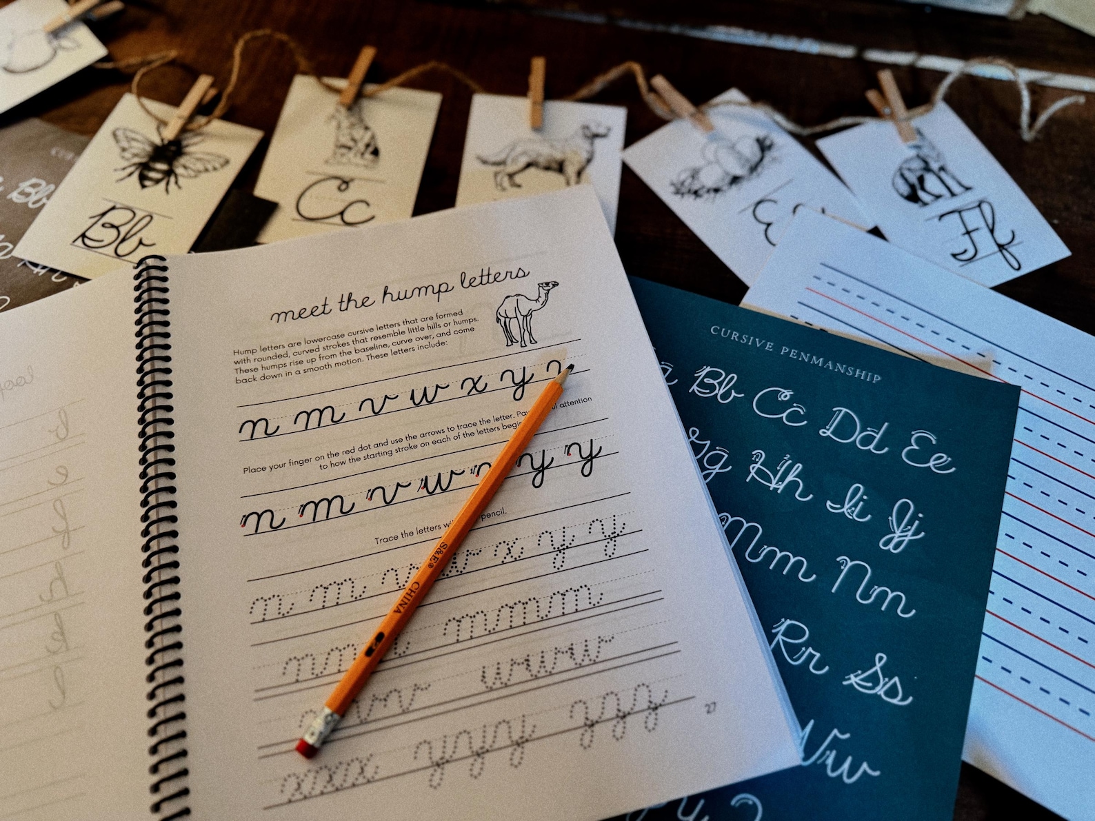 Penmanship Guide.pdf Cursive Penmanship Primer | Guide to Learning Cursive Handwriting ...