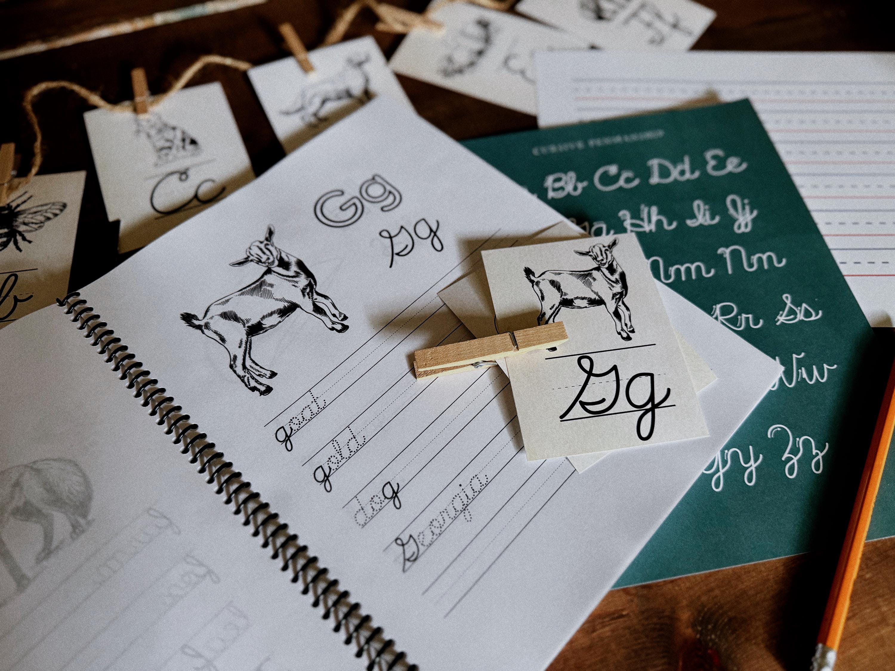 Redman Cursive Cursive Penmanship Primer | Guide to Learning Cursive Handwriting ...