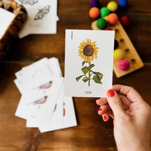 Nature, nombres, cartes 1-20 | Cottage Schoolhouse Imprimable à téléchargement immédiat