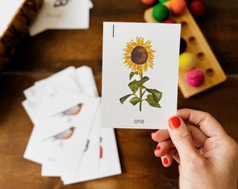 Nature Numbers Cards  1-20 | Cottage Schoolhouse Instant Download Printable