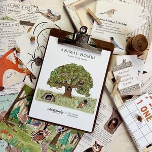 May include: A set of educational materials for children about animal homes. The set includes a nature study guide with an illustration of a tree with different animals living in it, a matching game, and several cards with illustrations of animals and their homes. The cards have the text "A Spider's Nest", "A Bird's Nest", "A Honeybee's Hive", "Animal Homes Matching Game", "Home In The Hedge", "Forest Animals", "1 One", and "9 Nine".
