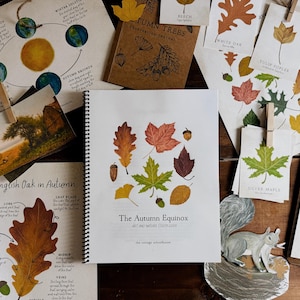 May include: An assortment of autumn-themed educational materials, including a spiral-bound notebook titled "The Autumn Equinox," leaf illustrations, and a squirrel figurine. The color palette features warm tones of orange, yellow, and brown.