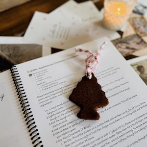 Guía de aprendizaje para las vacaciones navideñas victorianas / 5 lecciones / Estudio de unidad sobre la Navidad tradicional / Hora de la mañana / Descarga instantánea imprimible imagen 7
