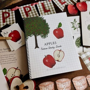 May include: A collection of apple-themed educational materials. Includes a spiral-bound "Apples Nature Study Guide", flashcards, and decorative elements. The guide features illustrations of apples and trees. A gingham banner spells "APPLES".