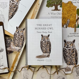May include: A collection of educational materials about the Great Horned Owl. Includes a spiral-bound notebook titled "The Great Horned Owl Nature Study Guide" and various illustrated cards and prints with owl-related information.