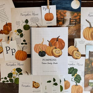 May include: A collection of educational pumpkin-themed materials. Includes a spiral-bound notebook titled "PUMPKINS Nature Study Guide", flashcards, and illustrated pages about the life cycle and parts of a pumpkin. The color palette is warm, featuring orange, green, and brown.