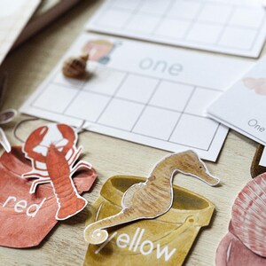 May include: A collection of watercolour illustrations and educational cards. Features a red lobster, a seahorse, and a seashell. The cards display the word "one" and a grid for counting. The colour words "red" and "yellow" are also present.