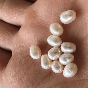 May include: A collection of white oval-shaped pearls in a hand.