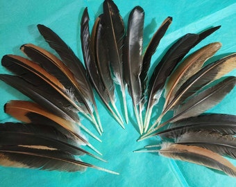 50 Black Feathers 6-7 Inch, Black Quills, Real Feathers, Black Bird Feathers,  Natural Feathers, Black Craft Feathers 