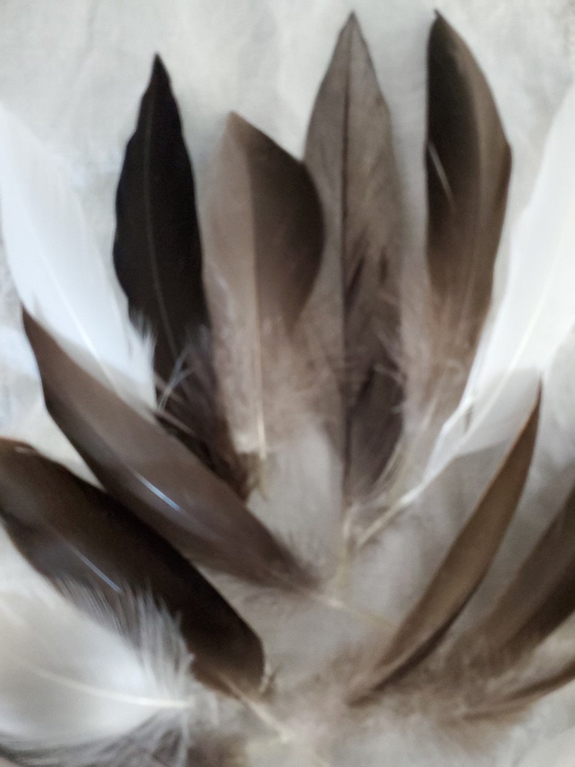 30 Cruelty free natural duck feathers from our farm. Etsy