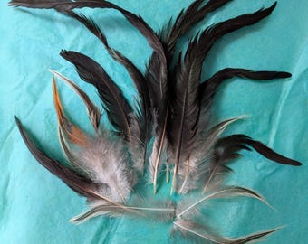 15 Cruelty free natural Rooster Tail feathers from our farm.