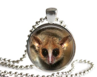 Mouse Lemur Etsy