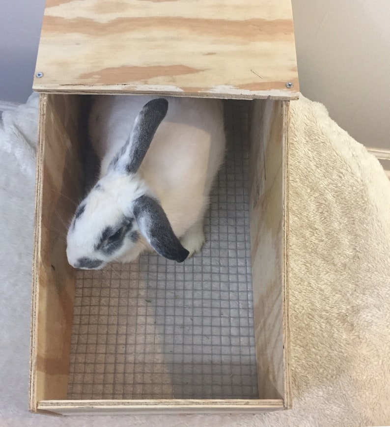 Rabbit Nesting Box PLANS ONLY Medium to Large Rabbits Etsy