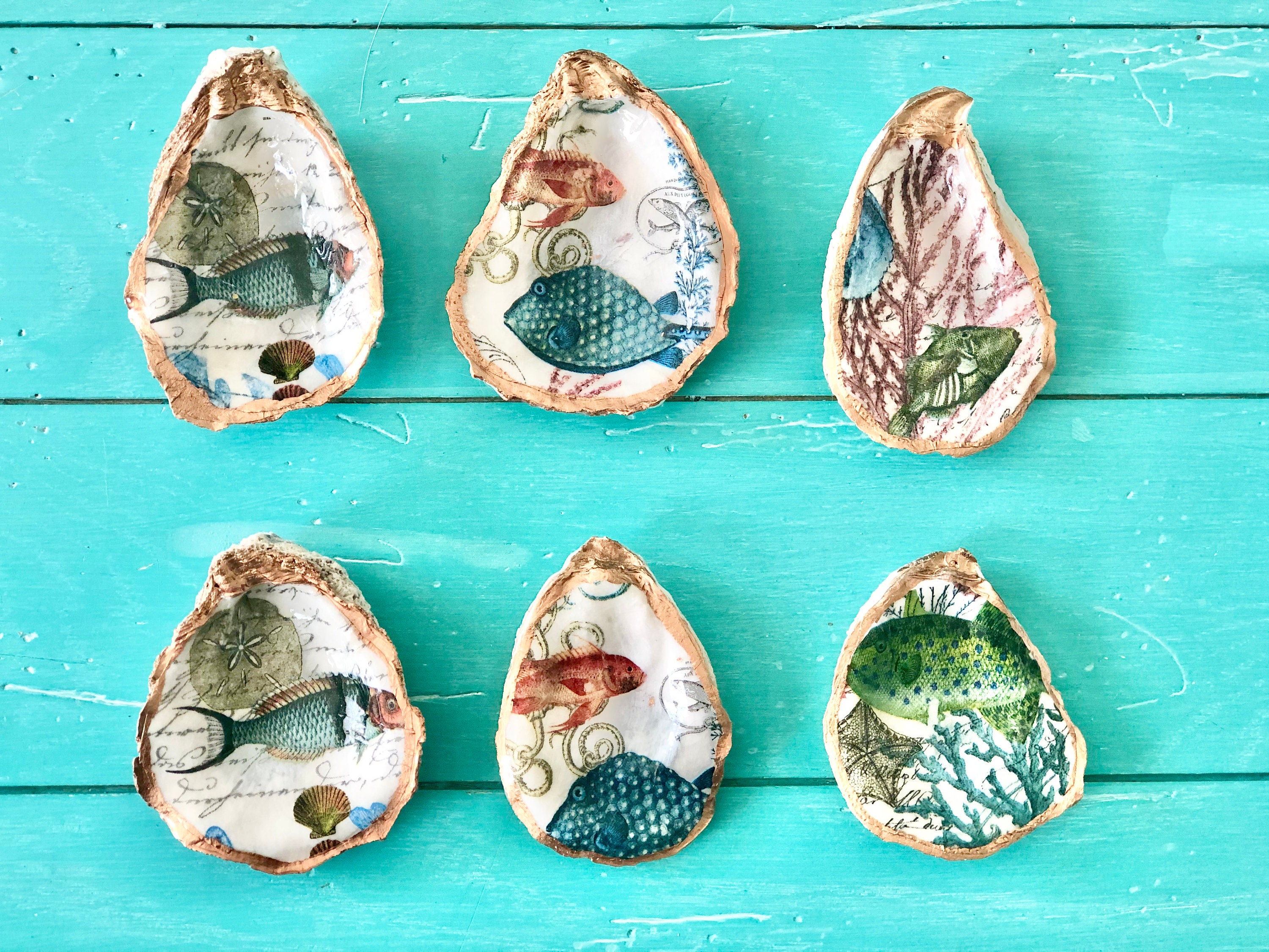 Oyster Shell Ring Dish Gifts for Women Shell Trinket Dish Etsy