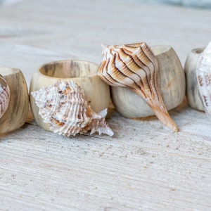 Beach napkin rings, Shell napkin rings, Beach decor, Wedding gift, housewarming gift, Beach themed gifts, Napkin rings, gift for beach lover