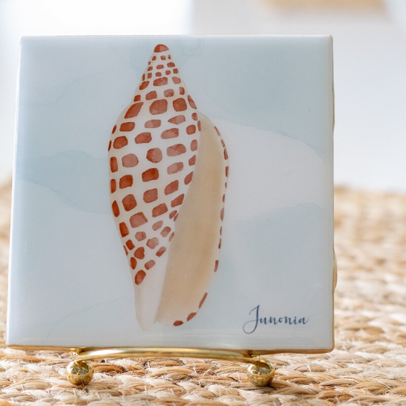 Ceramic Coasters (Set of 4) Dolce Beach