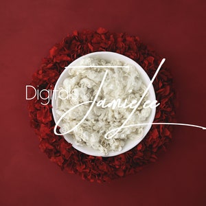 Newborn digital background, Newborn digital backdrop, Newborn composite, digital photography, Newborn photo prop, newborn digital backdrop