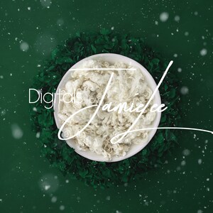 Newborn digital background, Newborn digital backdrop, Newborn composite, digital photography, Newborn photo prop, newborn digital backdrop