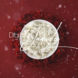 Newborn digital background, Newborn digital backdrop, Newborn composite, digital photography, Newborn photo prop, newborn digital backdrop