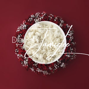 Newborn digital background, Newborn digital backdrop, Newborn composite, digital photography, Newborn photo prop, newborn digital backdrop