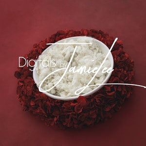 Newborn digital background, Newborn digital backdrop, Newborn composite, digital photography, Newborn photo prop, newborn digital backdrop