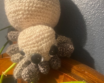 Jumping Spider