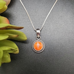 May include: A silver necklace with a round pendant featuring an orange stone. The pendant is encircled by a twisted silver rope design. The necklace is displayed on a dark background, with green leaves in the corner.