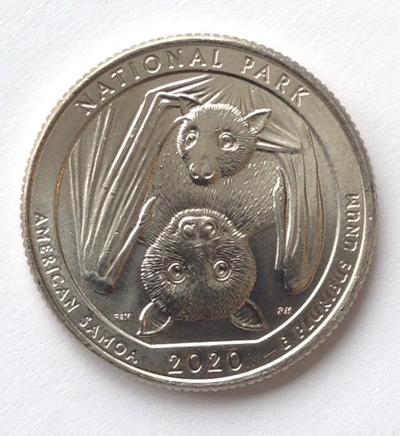 Rare quarter 2020 D bat and error Etsy