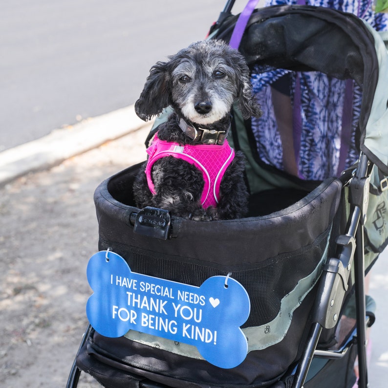 Curated visual reference: Visual Reference: Henry S Be Kind Sign For Special Needs Dogs