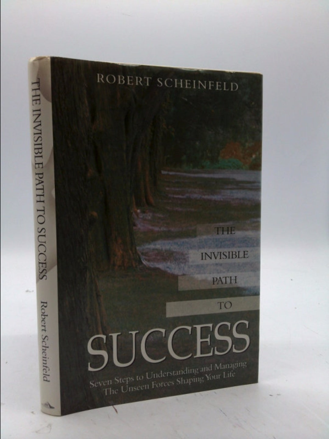 The Invisible Path to Success: Seven Steps to Understanding and ...