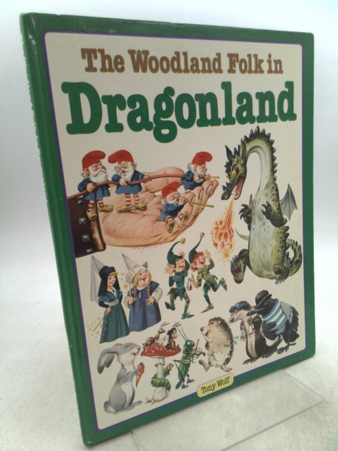 絶版 大判 洋書 絵本 Dragon Land　恐竜　ドワーフ　妖精